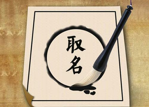  带森字公司起名大全,好听的公司名带森字